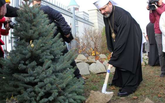 Глава УГКЦ закликає відмовитися від зрубаних живих ялинок з нагоди новорічних та різдвяних свят