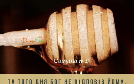 Читаємо Святе Письмо разом. Самуїла 13-14