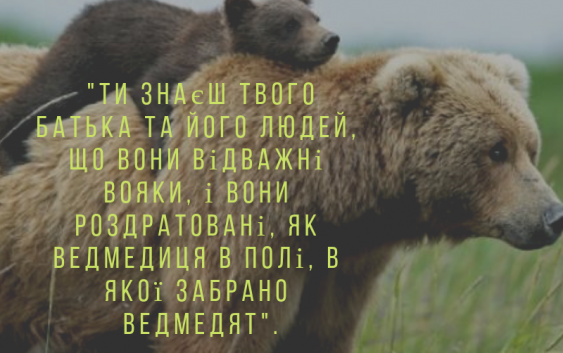Читаємо Святе Письмо разом. ІІ Самуїла 17