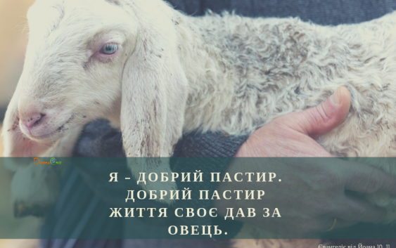 Святе Письмо з розважаннями на 9 лютого