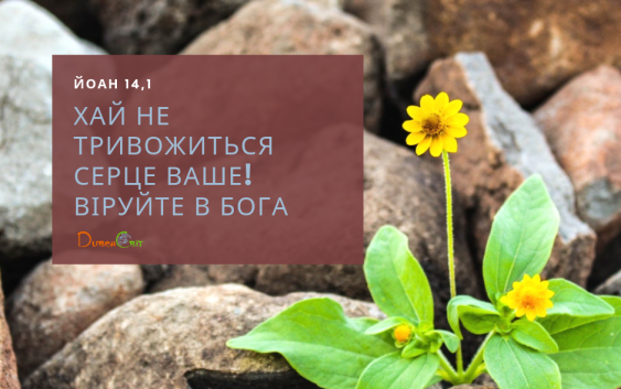Святе Письмо з розважаннями на 7 червня