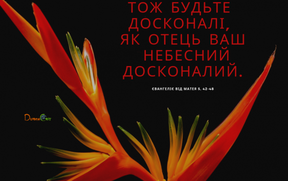 Святе Письмо з розважаннями на 22 червня