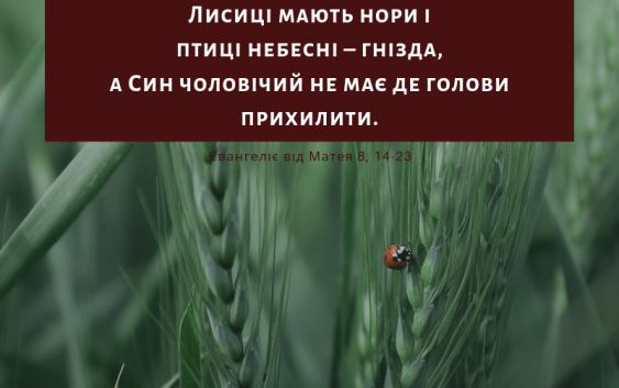Cвяте Письмо з розважаннями на 13 липня