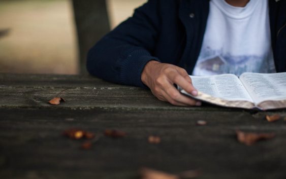 2020 рік оголошено Всесвітнім роком Біблії