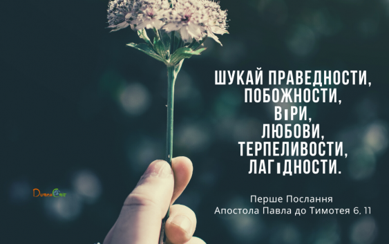 Святе Письмо з розважаннями на 11 січня