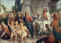Свято Входу Господнього в Єрусалим. Освячені галузки – символ християнських чеснот