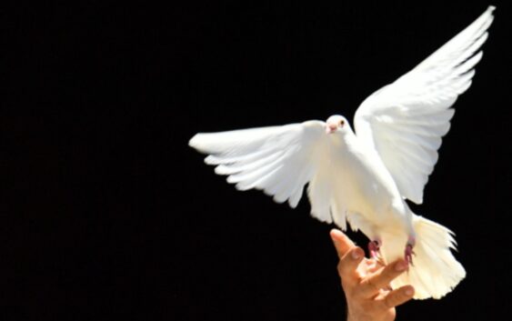 “Блаженні миротворці” – Бог доручив нам особливу місію