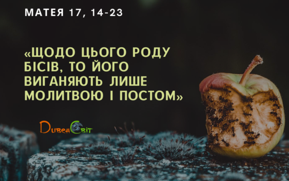Святе Письмо з розважаннями на 16 серпня
