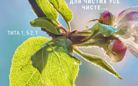 Святе Письмо з розважанням на 17 грудня