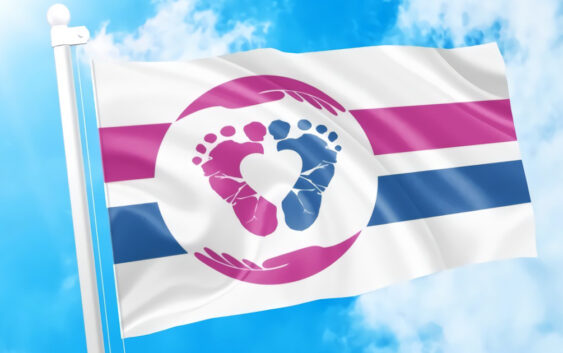 Міжнародний прапор руху за життя (pro-life)