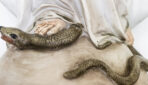 Сон святого Івана Боско підкреслює силу вервиці над дияволом