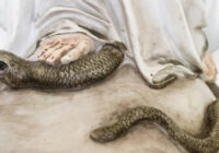 Сон святого Івана Боско підкреслює силу вервиці над дияволом