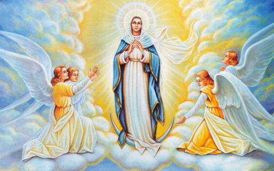 Про один із улюблених Марійних титулів святого Альфонса: “Цариця милосердя”