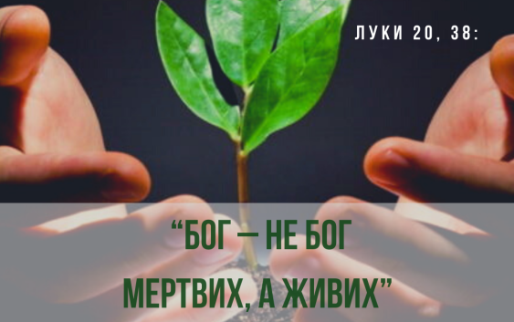 Святе Письмо з розважаннями на 26 грудня