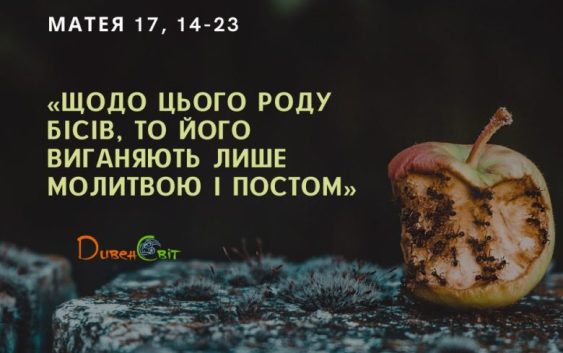 Святе Письмо з розважанням на 13 серпня