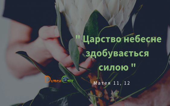 Святе Письмо з розважанням на 8 жовтня